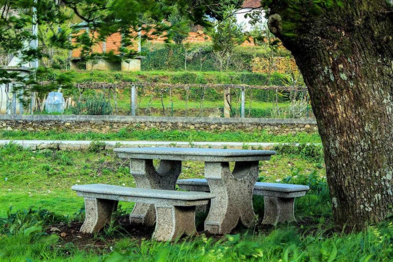 Viana Do Castelo - Amonde Village Casa P - Conforto Qualidade Natureza Екстериор снимка