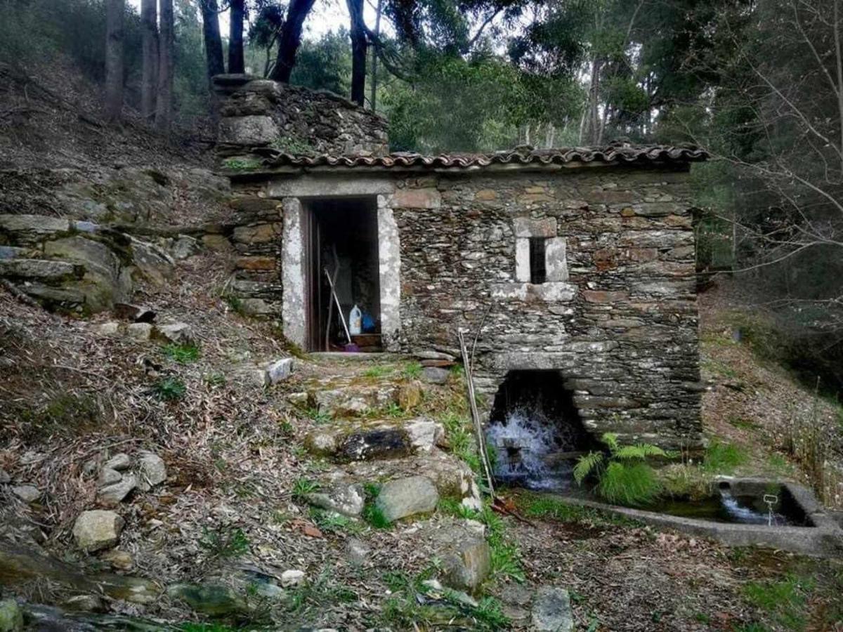 Viana Do Castelo - Amonde Village Casa P - Conforto Qualidade Natureza Екстериор снимка